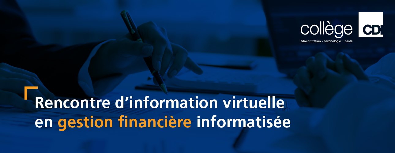 Rencontre d'information virtuelle en gestion financière informatisée